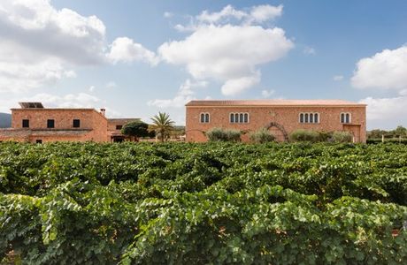 Bodegas Angel