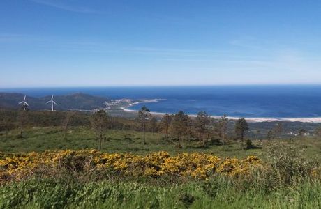 Mirador de As Paxareiras