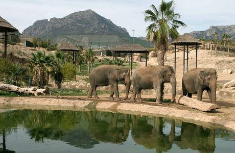 Terra Natura
