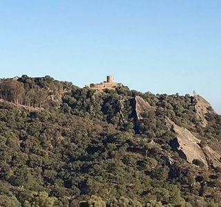 Parque De Los Alcornocales