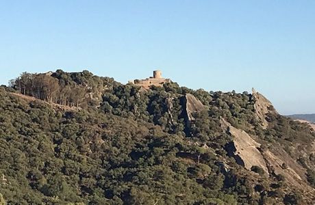 Parque De Los Alcornocales