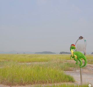 Hwaseong Dinosaur Fossil Site