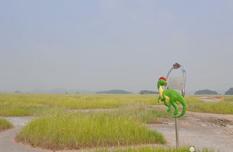 Hwaseong Dinosaur Fossil Site