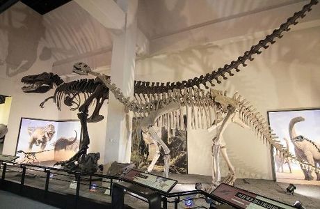 Goseong Dinosaur Museum