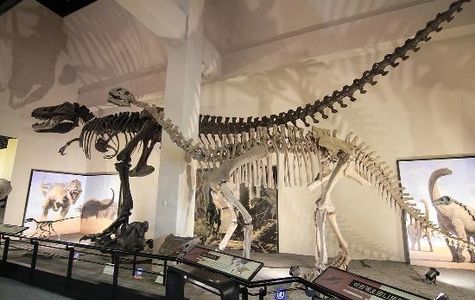 Goseong Dinosaur Museum 1