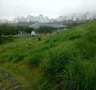Daeseong-dong Tomb Museum