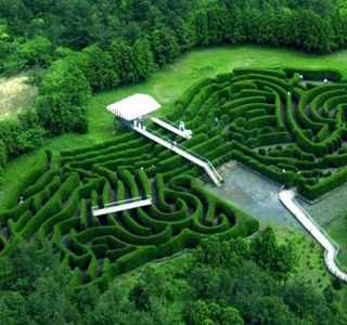 Jeju Kimnyoung Maze Park