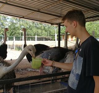 Malai Ostrich Farm