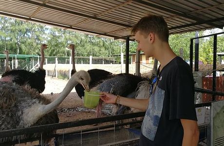 Malai Ostrich Farm