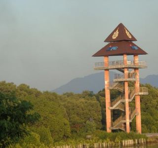 Sky View Tower and Mangrove Research Center