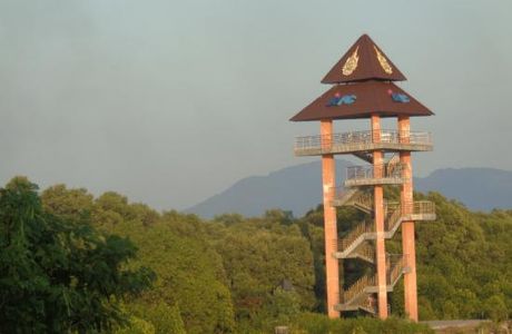 Sky View Tower and Mangrove Research Center