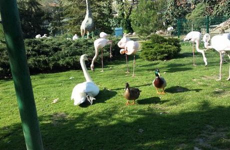 Canakcilar Hayvanat Bahcesi ve Botanik Park