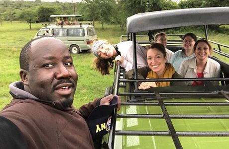 1000 Shades of Green