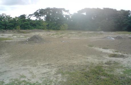 Devil's Woodyard