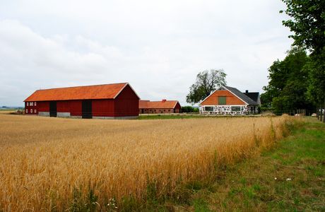 Donghai Farm