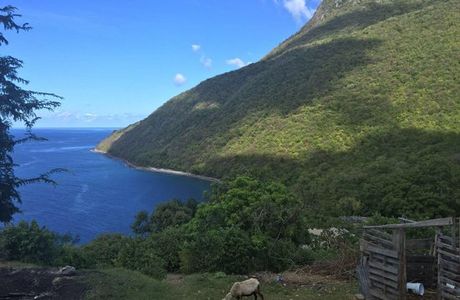 Saint Lucia Shuttle