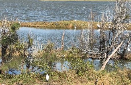 Aogu Wetlands and Forest Park