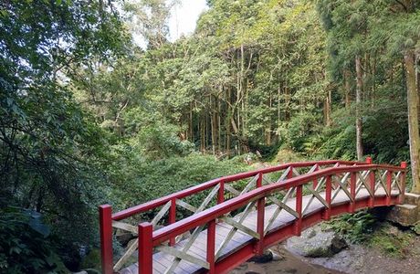 Mawudu Forest