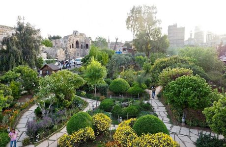 The Environmental Garden