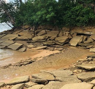 Fossil Shell Beach