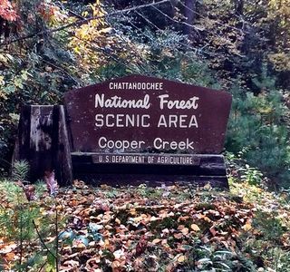 Chattahoochee National Forest
