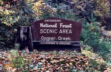 Chattahoochee National Forest