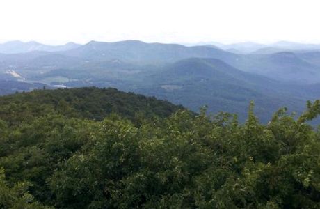 Bartram Trail