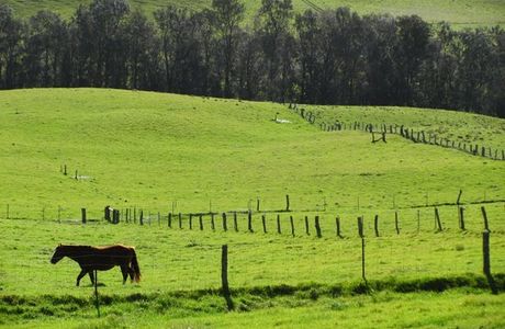 Evening at Kahua Ranch