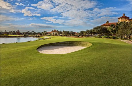 Tiburón Golf Club