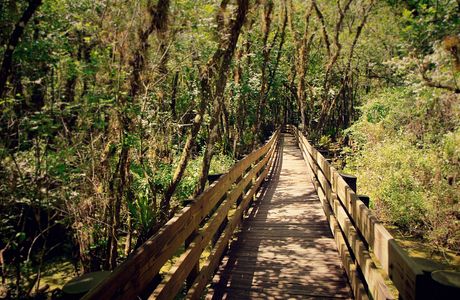 Six Mile Cypress Slough Preserve