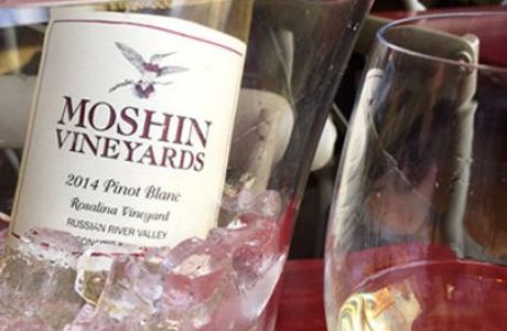 Moshin Vineyards