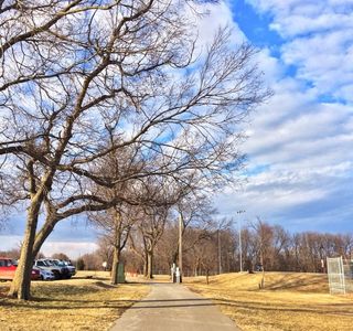 Orchards Park