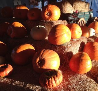 Pumpkin Station