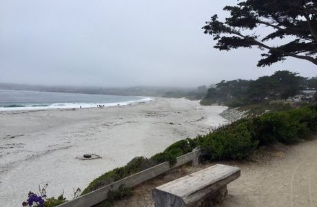 Scenic Road Walkway