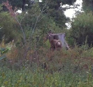 William Heise County Park
