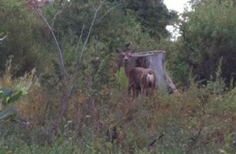 William Heise County Park