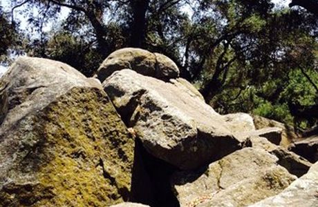 Felicita County Park