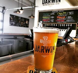 Darwin Brewing Company, Beer Garden, and Taproom