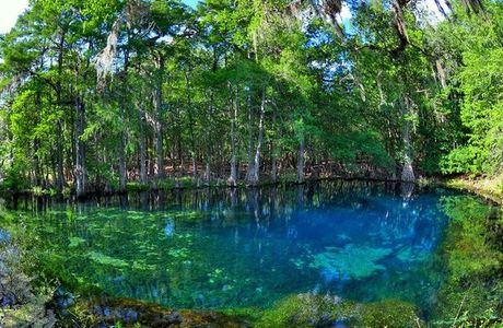 Manatee Springs State Park