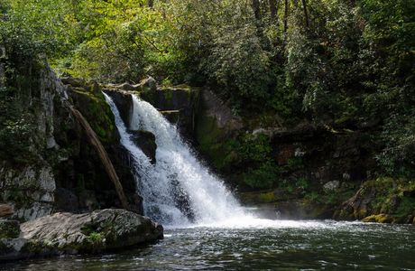 Two Inlets State Forest