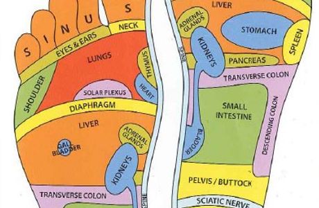 # 8 Herbal Foot Reflexology