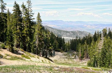 Tahoe Meadows Trail