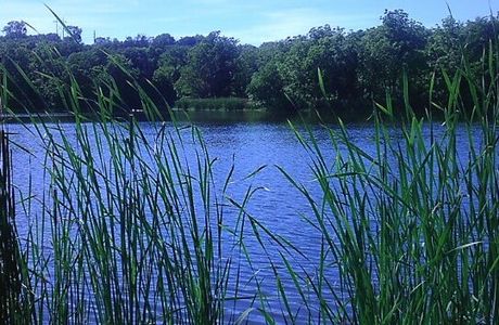 Bacon Creek Park