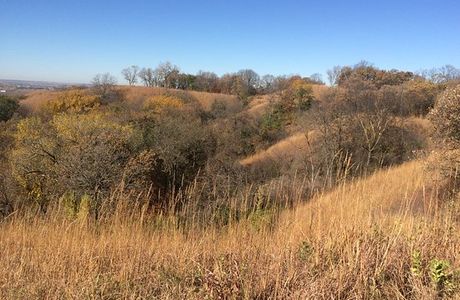 Stone State Park
