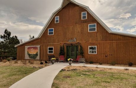 Shiloh Vineyard