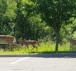 Lake Minnewashta Regional Park