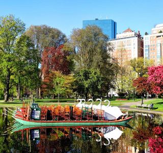 Boston Public Garden
