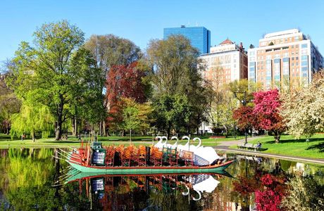 Boston Public Garden