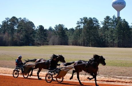 Pinehurst Harness Track