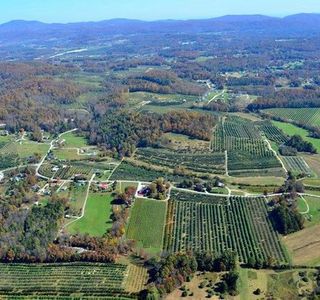 Saint Paul Mountain Vineyards